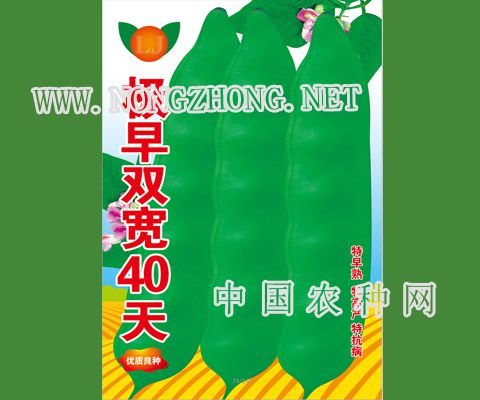 极早双宽40天